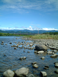 甲佐町川の写真