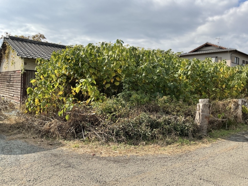 ÉÜÎΡ¡¶õ¤ÃÏ