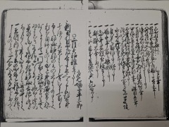6ǯĲʸ