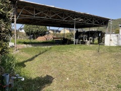 ���Ļҡ�������